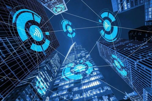 智網(wǎng)安云 東西湖企業(yè)守護(hù)中國(guó)西北網(wǎng)絡(luò)安全，引領(lǐng)網(wǎng)絡(luò)技術(shù)開(kāi)發(fā)創(chuàng)新